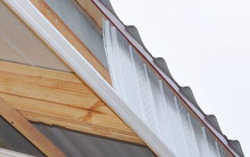 why Bothal fascia repairs are essential