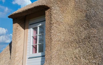 Bothal thatch roof disadvantages
