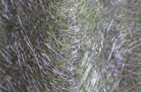 Bothal fibreglass roof work