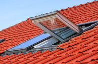 Bothal roof window