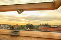 rated Bothal roof window companies
